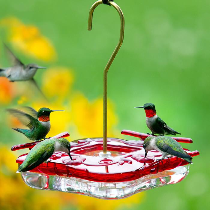 High View Square Hummingbird Feeder